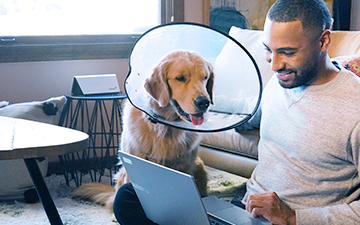 A man sits on the floor with his laptop, petting his golden retreiver who is wearing a cone around his neck